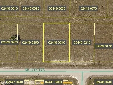 9 NE 15th Terrace, Cape Coral, FL 33909 - photo 1