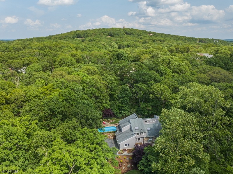 4 Tulip Tree Terrace, Kinnelon, NJ 07405 - photo 1