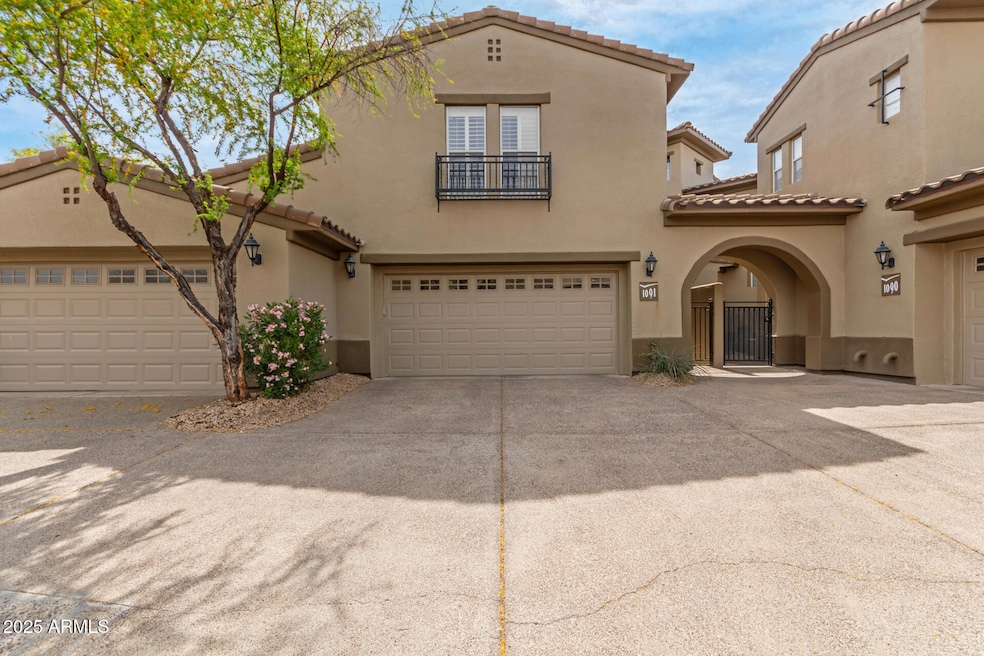 01 Grayhawk
