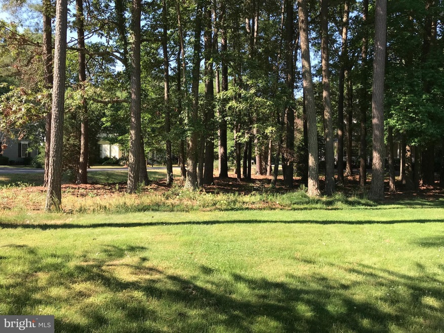 14885 Catherine Ct, Issue, MD 20645 - photo 1