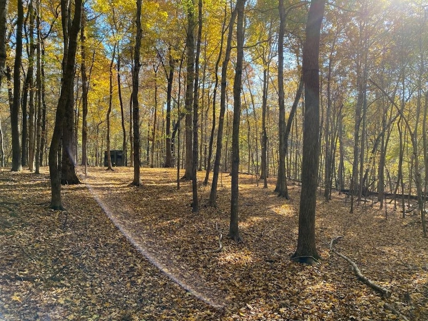 656 N Highway 810, Kuttawa, KY 42055 - photo 1