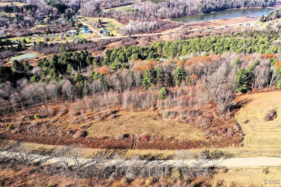 0 Two Rod Rd, Bath, NY 14810 - photo 1