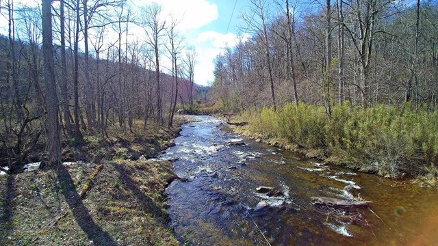 Main View
