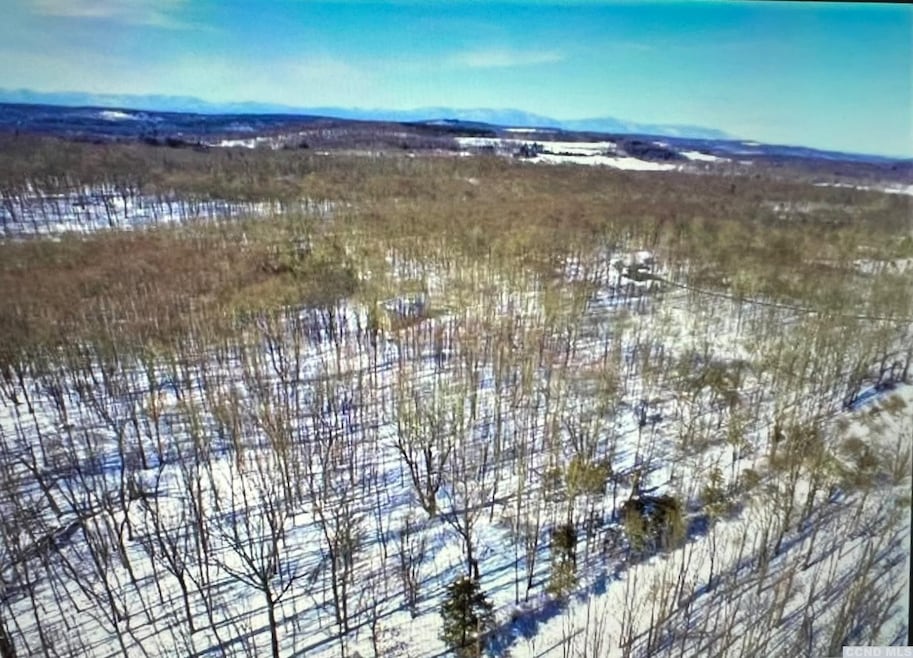 573 Willow Brook Rd, Clinton Corners, NY 12514 - photo 1