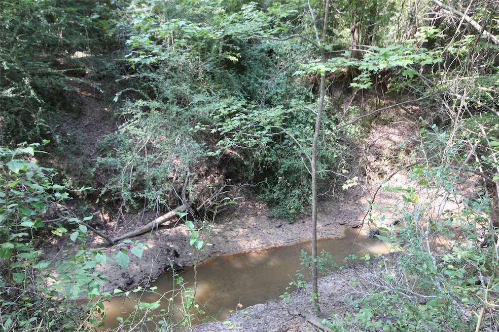 View of undeveloped land featuring a large body of water