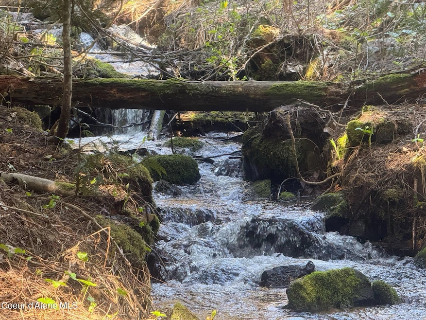 NNA Upper Manley Creek Rd West Lot, Laclede, ID 83841 - photo 1