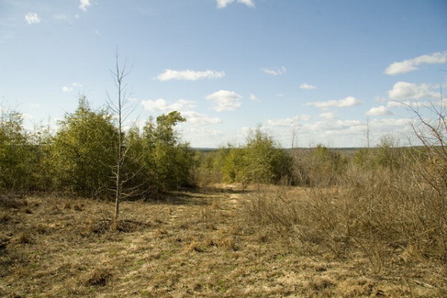 Main View