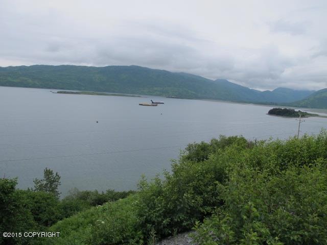 IMG_3274 (Small)