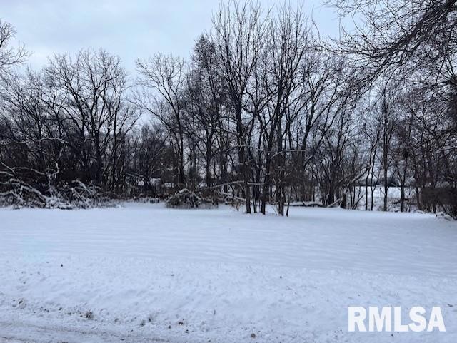 0 218th St, Le Claire, IA 52753 - photo 1