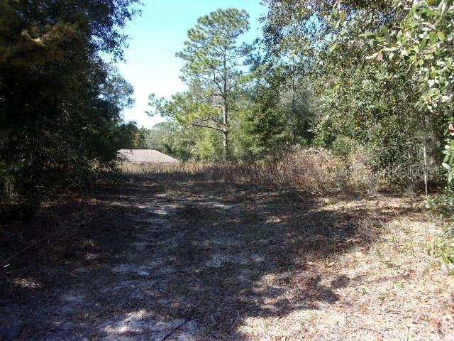 0 SW 140th Ave unit MFRV4940877, Ocala, FL 34481 - photo 1
