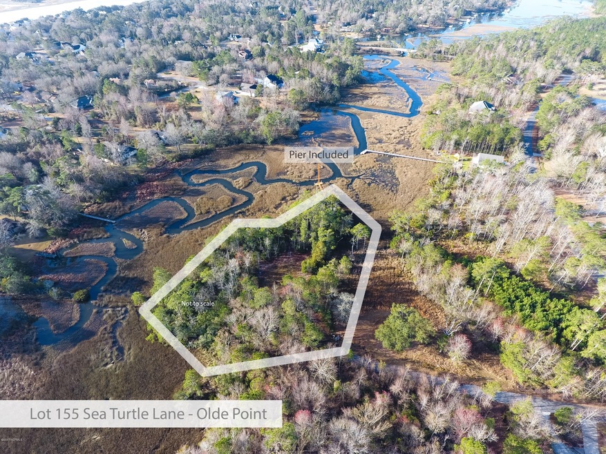 Sea Turtle Aerial Lot 155R-01 (2) Correc