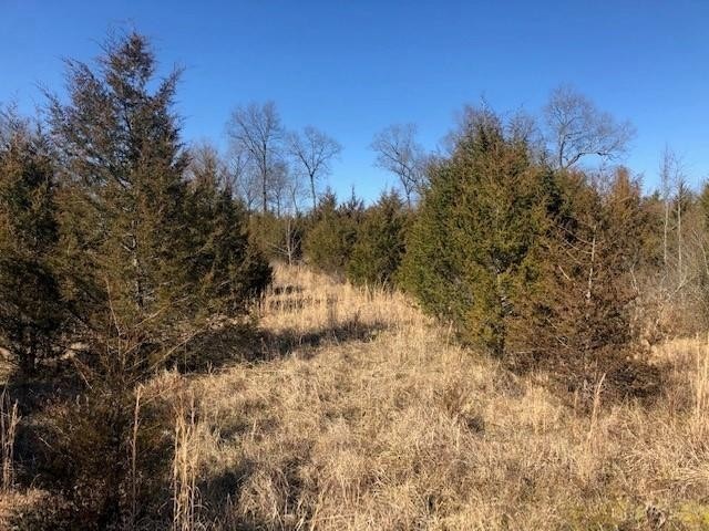 0 Highway 64 E unit RTC2352975, Shelbyville, TN 37160 - photo 1