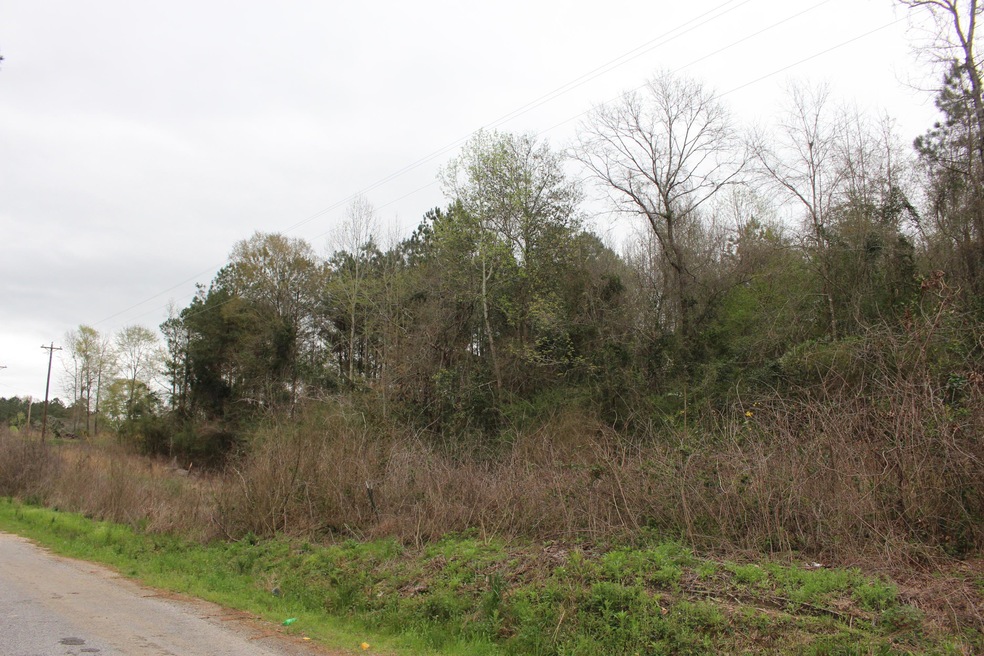 Pecan Lane