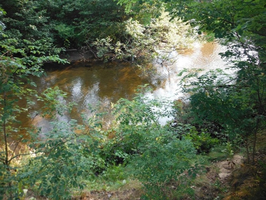 DSCF0535