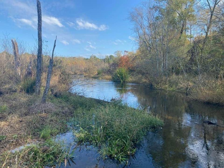 +/- 61.8 U S 59, Nacogdoches, TX 75965 - photo 1