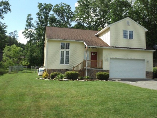 Main View