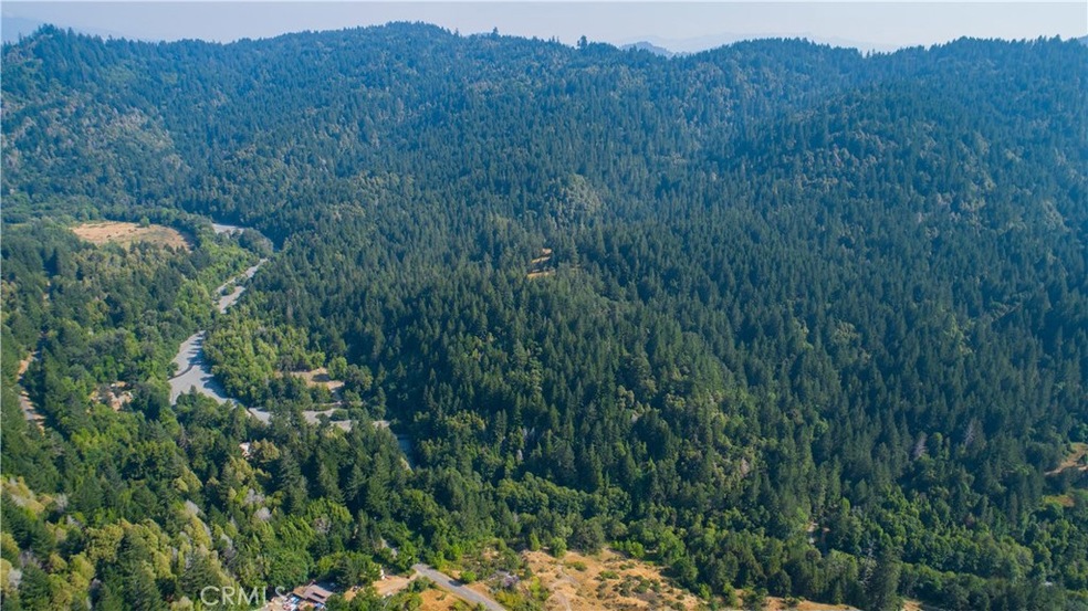 34621 Alderpoint Rd, Blocksburg, CA 95514 - photo 1