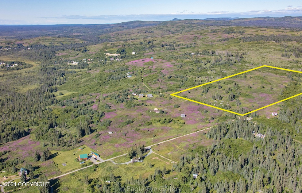 32926 Coyote Run Rd, Nikolaevsk, AK 99556 - photo 1