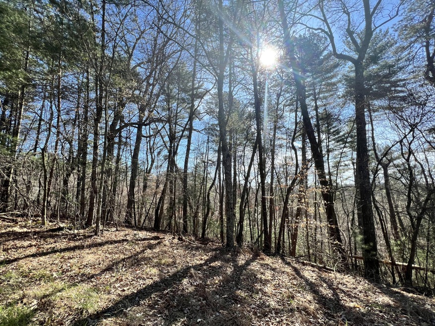 0 Indian Ln unit RTC2714807, Ellijay, GA 30540 - photo 1