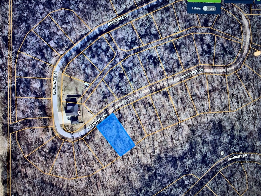 1 Winsford Ln, Bella Vista, AR 72714 - photo 1