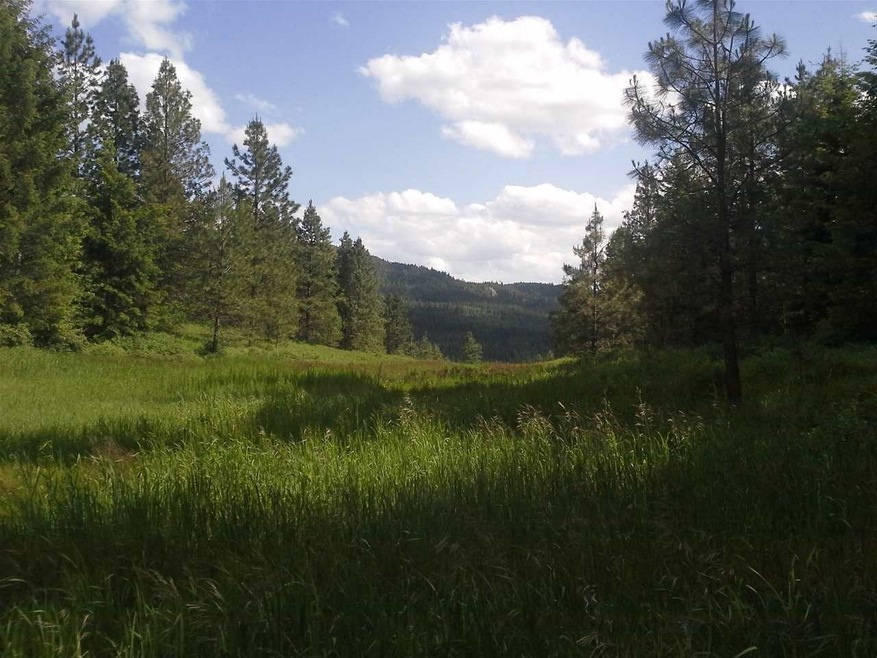 xx Dry Creek Rd, Chewelah, WA 99109 - photo 1