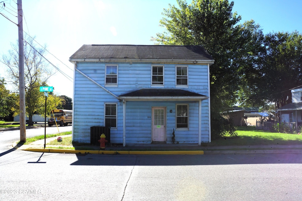 223 E Pine St, Selinsgrove, PA 17870 - photo 1