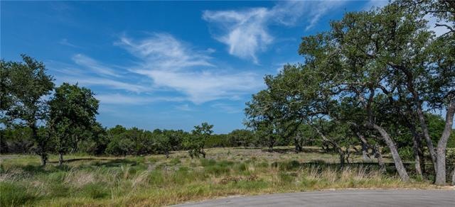 330 Calvary Cove, Dripping Springs, TX 78620 - photo 1