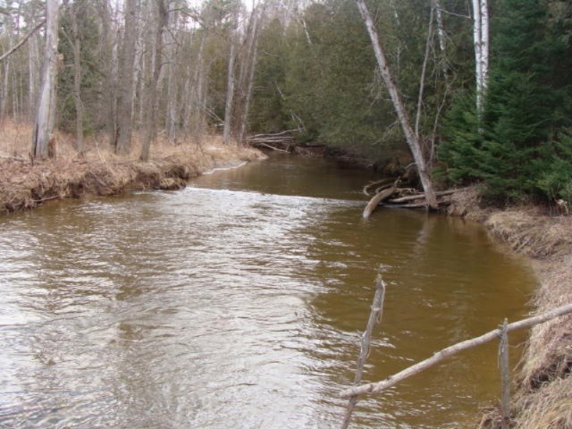 DSC03903