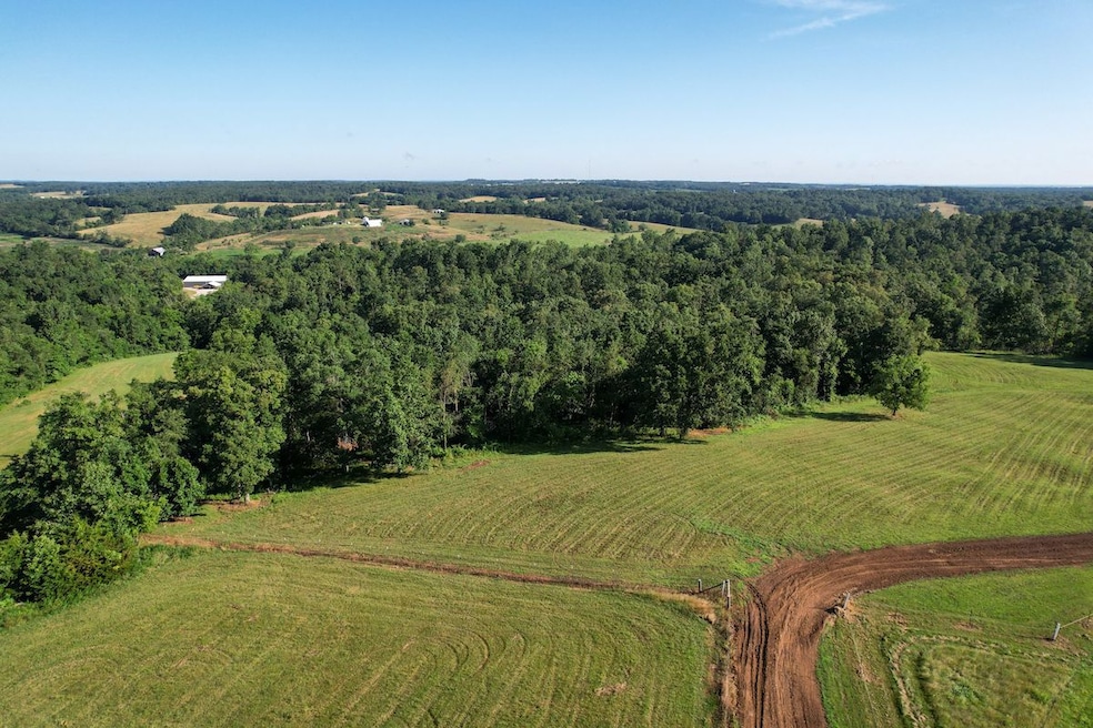 Off Hwy O unit Lot WP001, Perryville, MO 63775 - photo 1