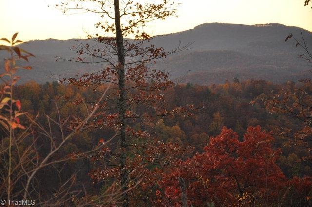 Lt195 Great Oak Ln, Purlear, NC 28665 - photo 1