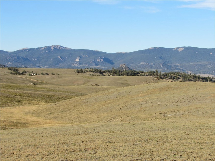 114 Andesite Way, Hartsel, CO 80449 - photo 1