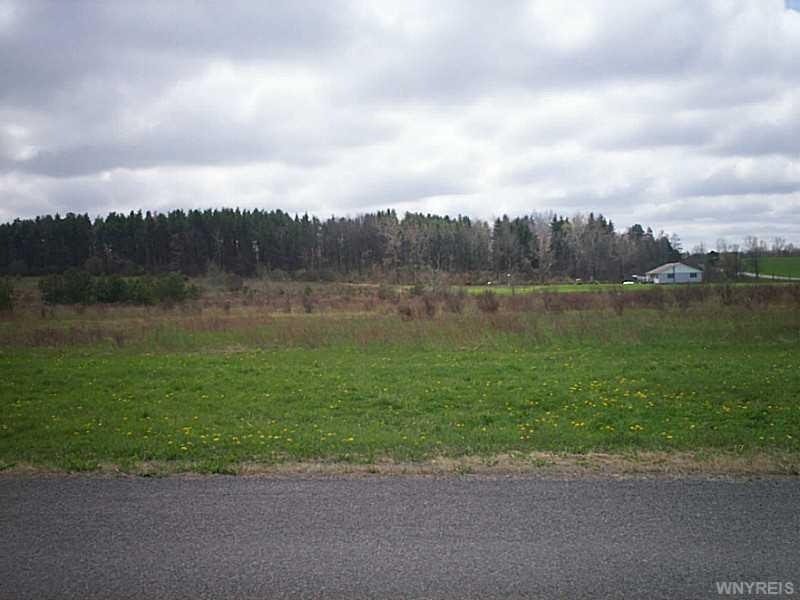 Land/Lot.