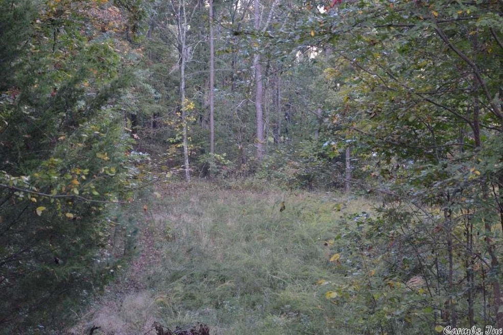 535 & 515 Pearce Rd, Heber Springs, AR 72543 - photo 1