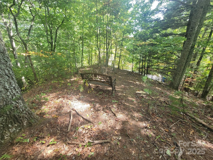 0 Pinewood Dr unit 5, Waynesville, NC 28786 - photo 1