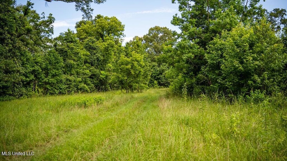 300 Mount Pleasant - Zachary Rd, Zachary, LA 70791 - photo 1