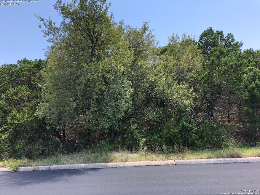 11414 Mountain Climb, Helotes, TX 78023 - photo 1