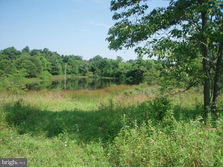 0 Airmont unit 1000155439, Round Hill, VA 20141 - photo 1