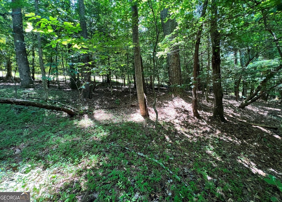 LT366R Joliet Dr, Ellijay, GA 30540 - photo 1