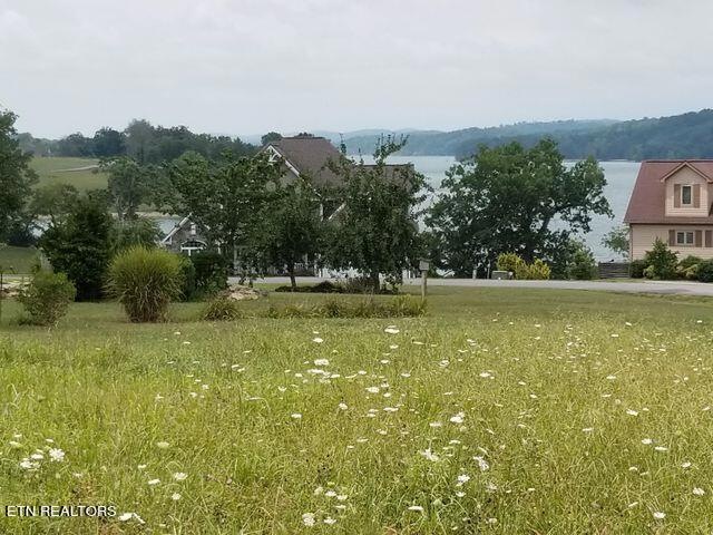 Lake view to North 43 lot