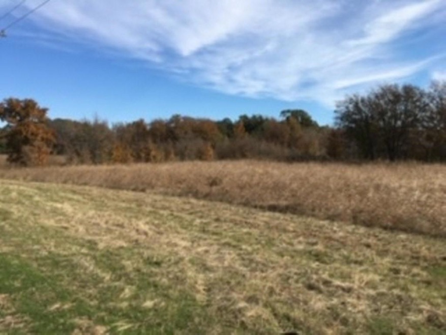 100 Buckner Rd, Lipan, TX 76462 - photo 1