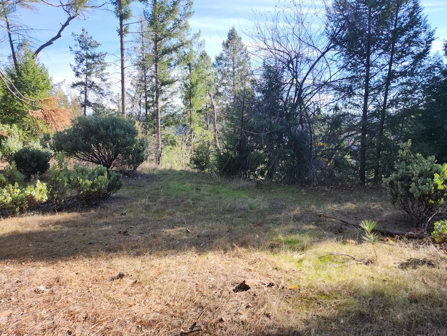 1196 Doe Rd, Rail Road Flat, CA 95245 - photo 1