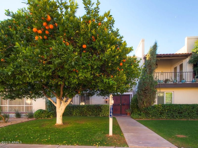 7694 E Minnezona Ave-MLS_Size-001-Exteri