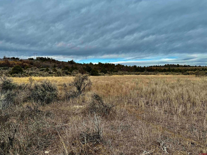 000 T5 Rd, Dolores, CO 81323 - photo 1