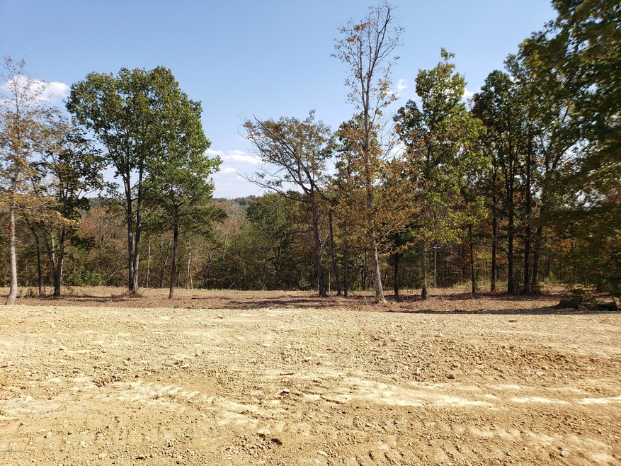 22 Kilner Goodlet Ct, Mount Washington, KY 40047 - photo 1