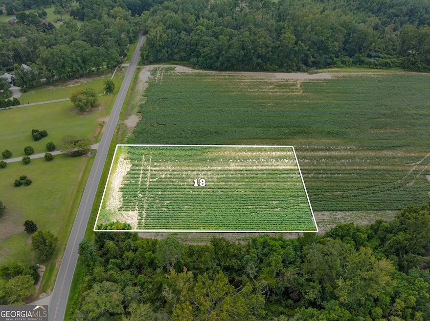 0 Miller Street Extension unit LOT 18, Statesboro, GA 30458 - photo 1