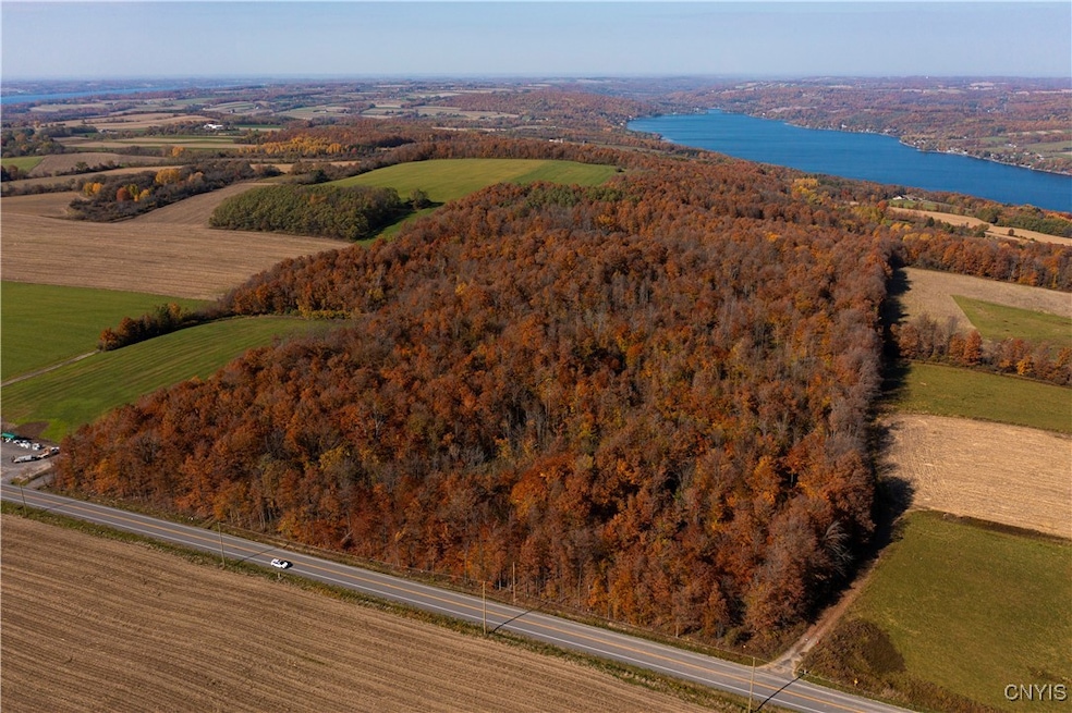 0 E Lake Rd unit S1631987, Skaneateles, NY 13152 - photo 1