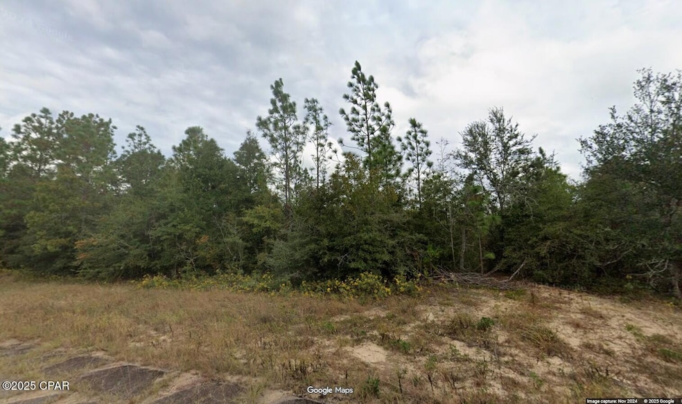 Lot 13 Unit 5 Blk 307 Marble Place, Chipley, FL 32428 - photo 1