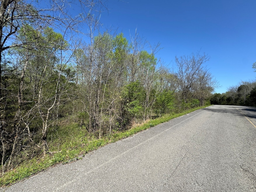 0 Canoe Branch Rd unit RTC3047448, Lebanon, TN 37087 - photo 1