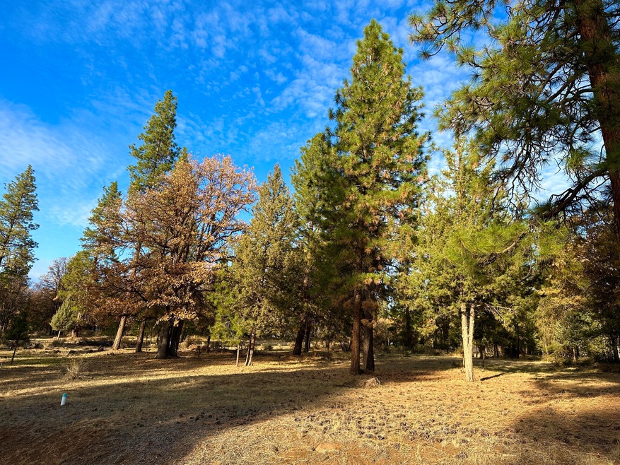 0 Merganser Rd unit Lot 106 220174097, Klamath Falls, OR 97601 - photo 1