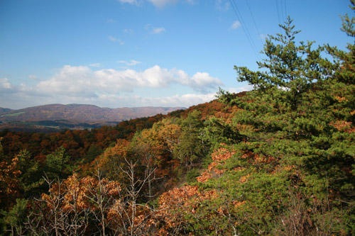 Main Photo